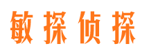 枞阳市调查公司